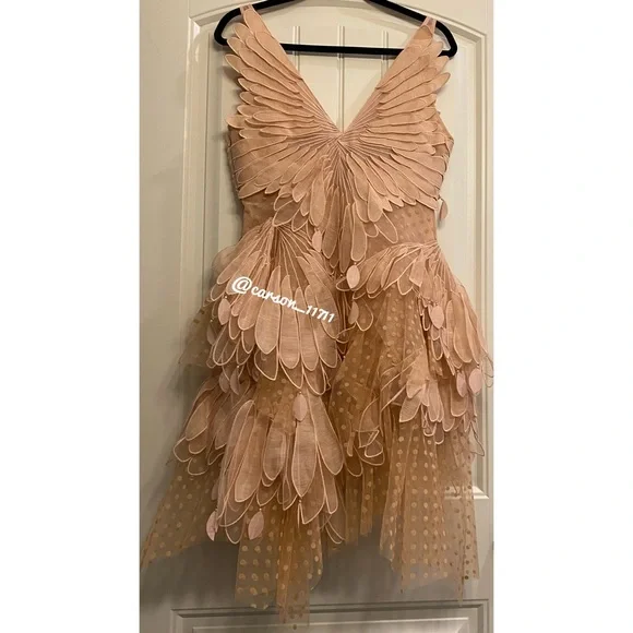 ✨Exclusive Zimmermann Dancer Rhythmic Flocked Tulle Mini Dress US6 - Picture 12 of 12